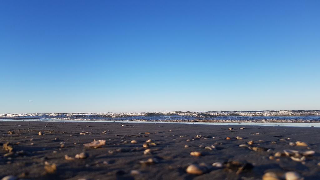 Casa Vacanze Zadina Villa Cesena Bagian luar foto